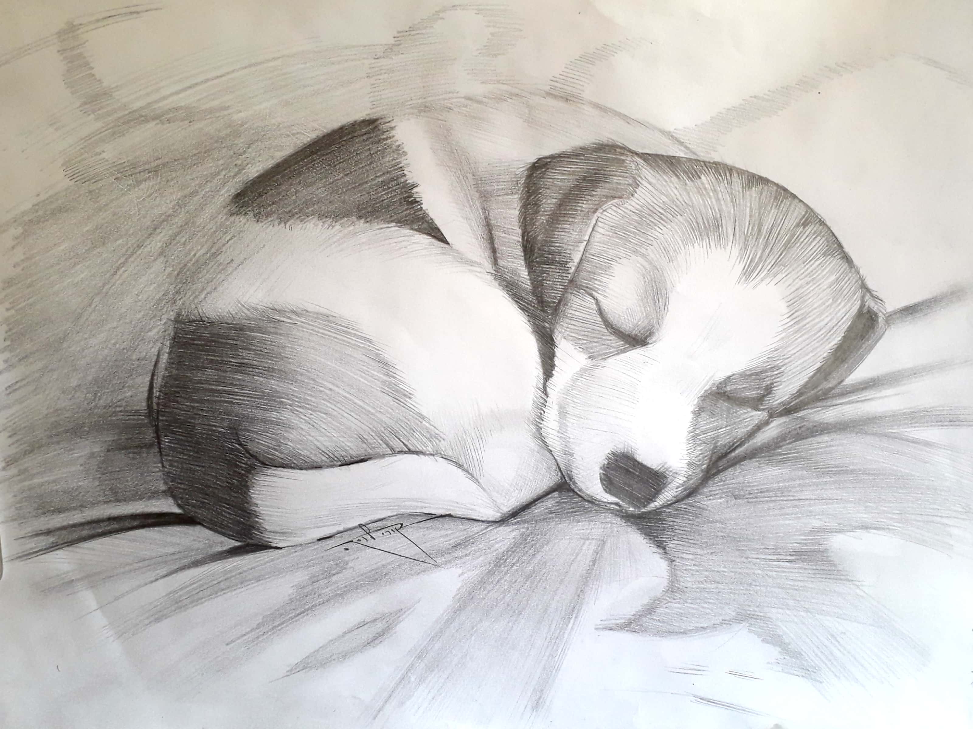 New Doc 2019-06-04 15.00.44_4