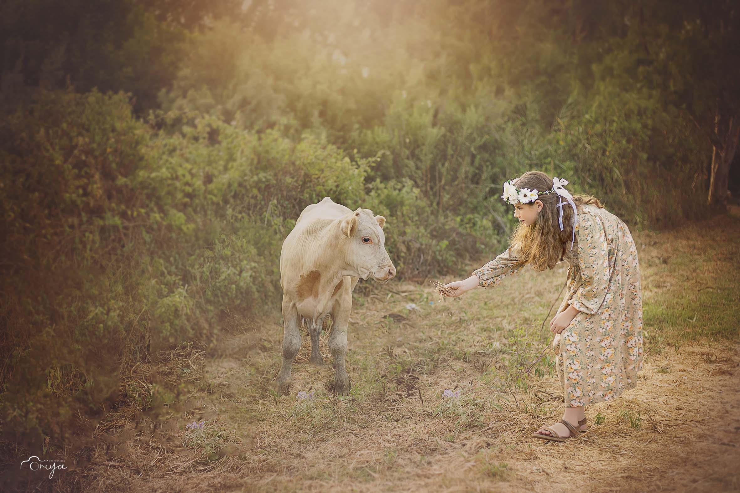 oriya omer 0548537089  (45).jpg