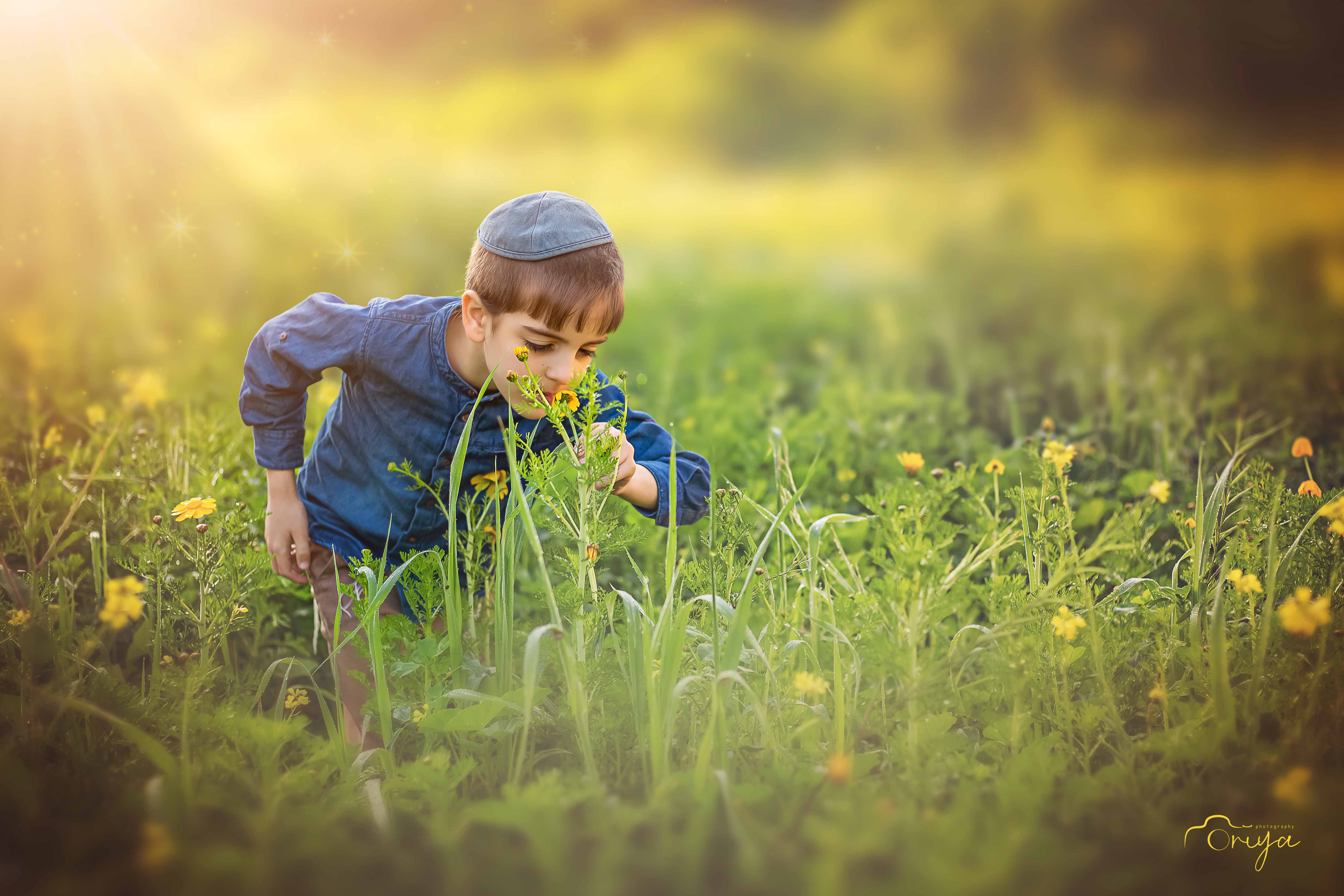 oriya omer 0548537089  (56).jpg