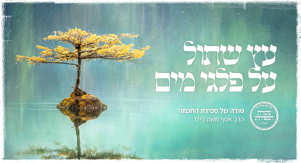 Pastebot-Dragged-Image-26-10-2021, 16:15:47-49.png