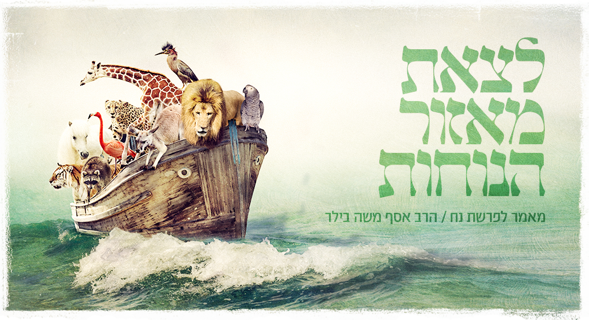 Pastebot-Dragged-Image-26-10-2021, 16:15:55-46.png