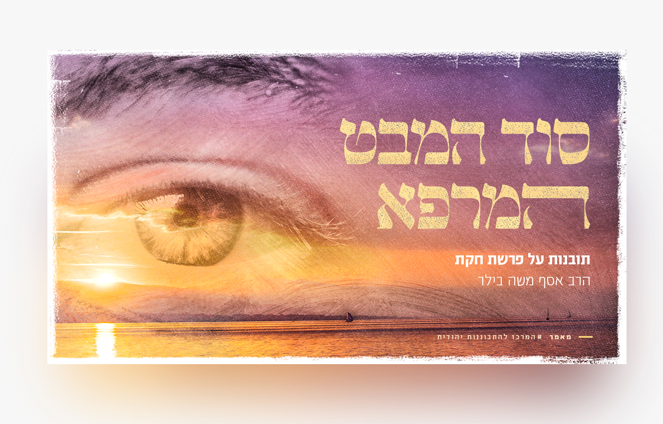 Pastebot-Dragged-Image-26-10-2021, 16:16:01-44.png