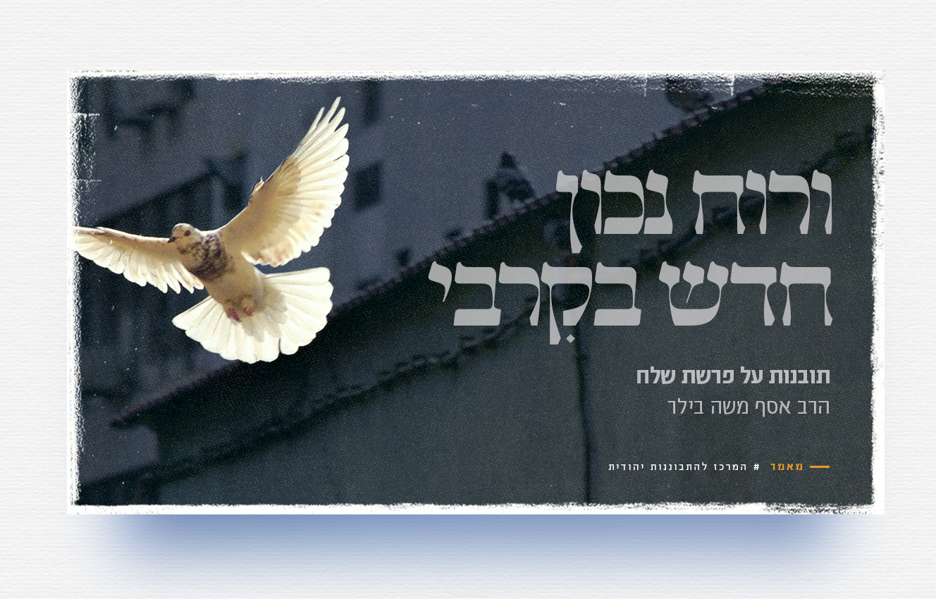 Pastebot-Dragged-Image-26-10-2021, 16:16:04-43.png