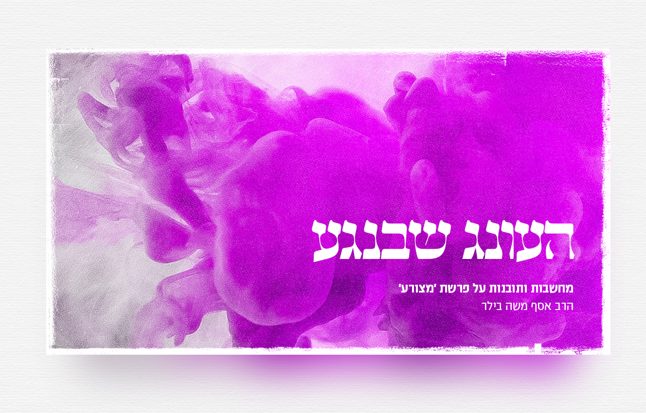 Pastebot-Dragged-Image-26-10-2021, 16:16:09-42.png