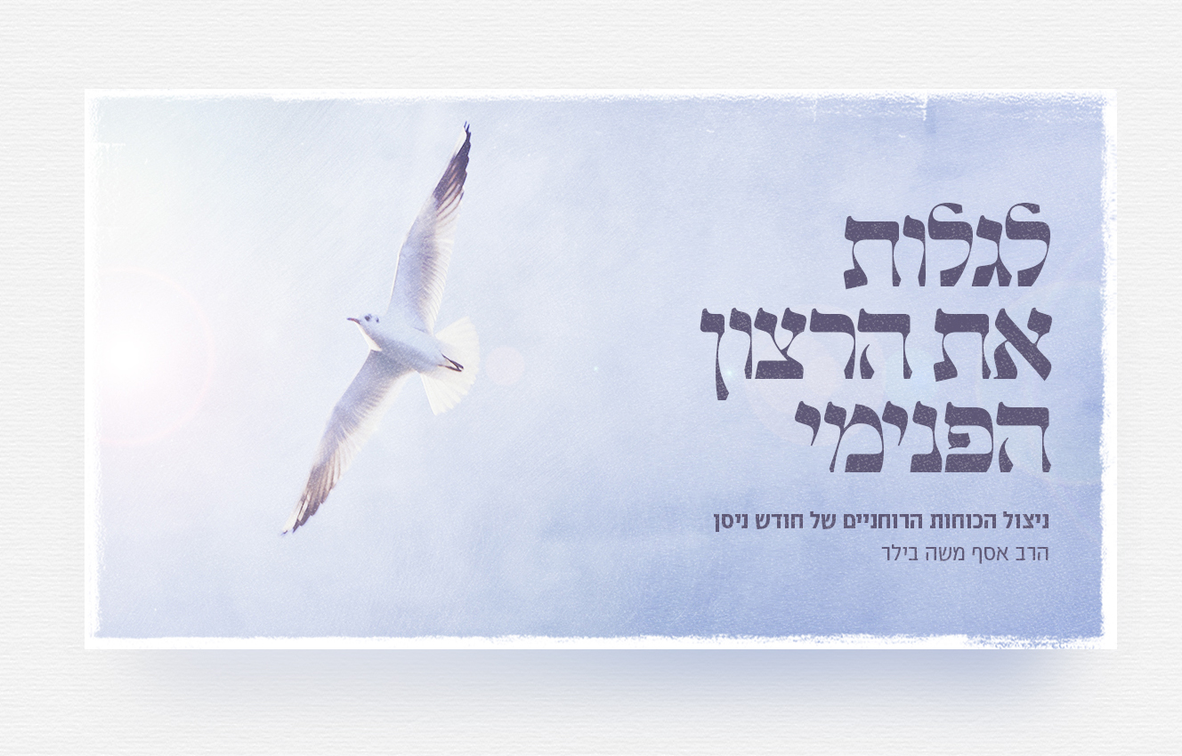 Pastebot-Dragged-Image-26-10-2021, 16:16:24-37.png