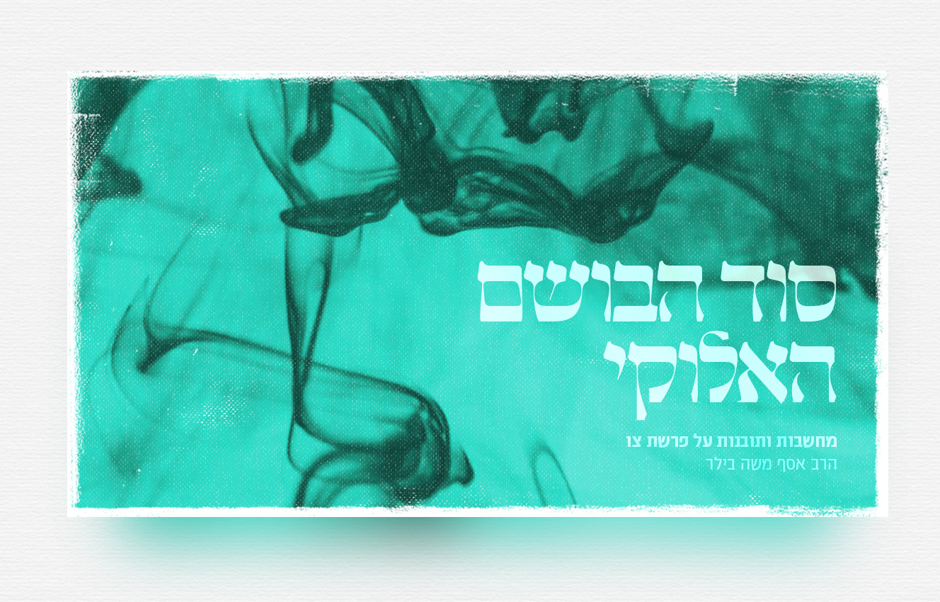 Pastebot-Dragged-Image-26-10-2021, 16:16:41-31.png