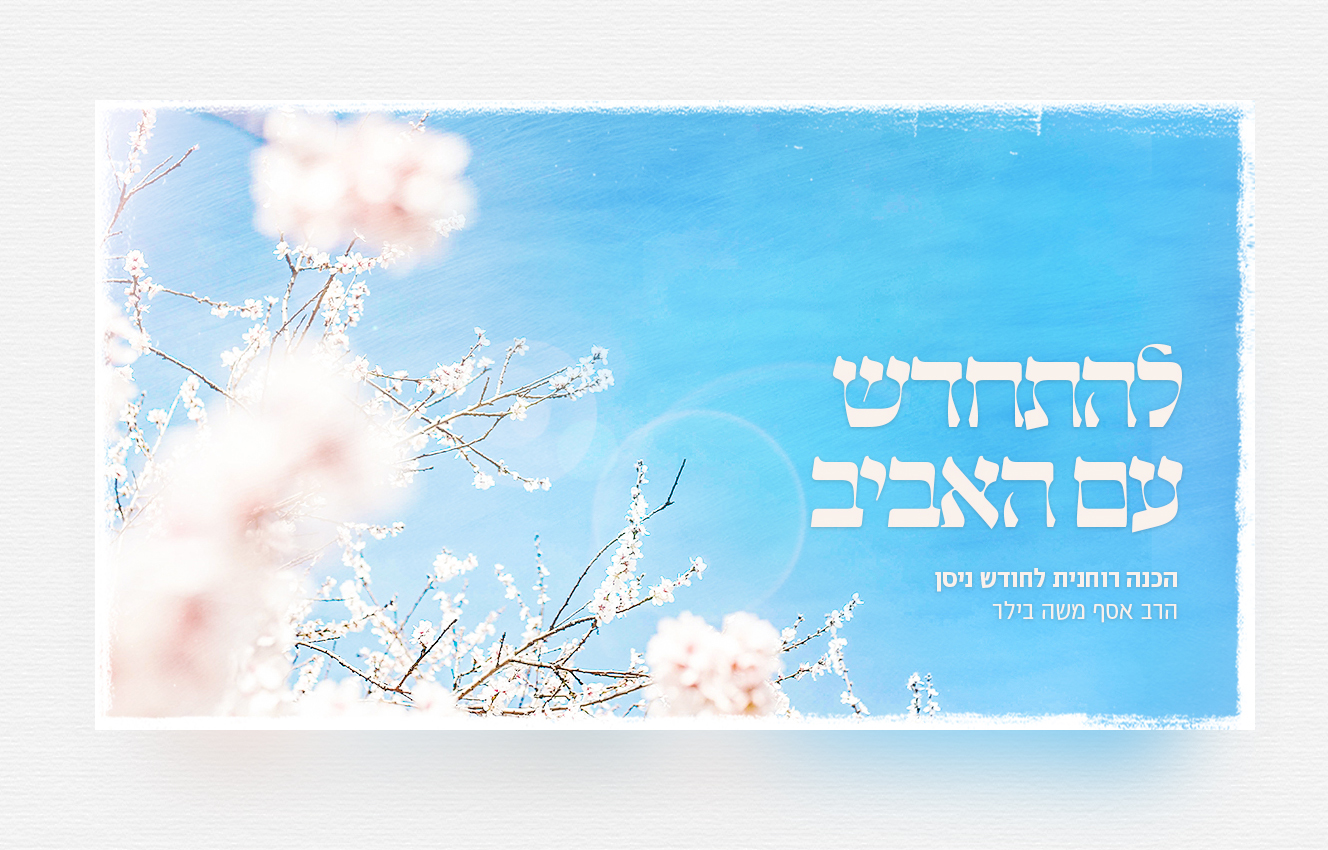 Pastebot-Dragged-Image-26-10-2021, 16:17:17-21.png