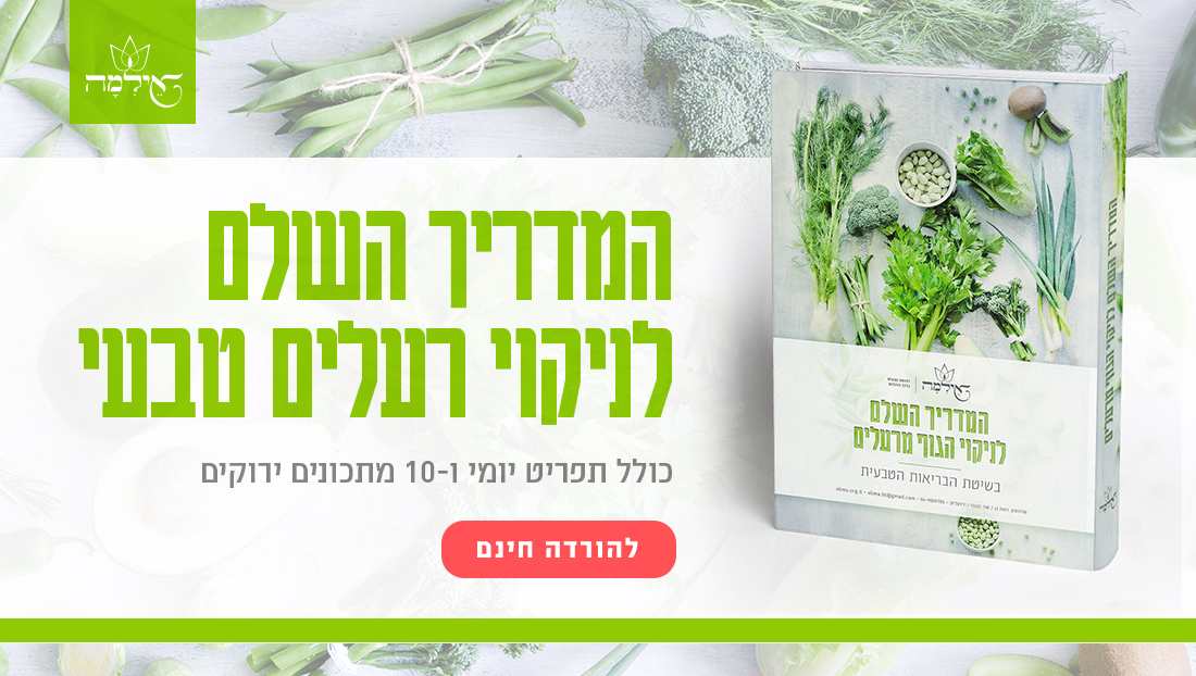 Pastebot-Dragged-Image-26-10-2021, 16:18:55-12.png