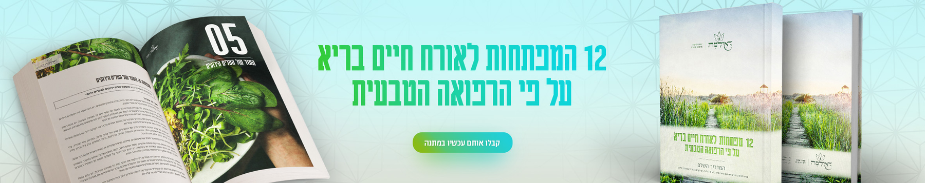 Pastebot-Dragged-Image-26-10-2021, 16:19:09-10.png