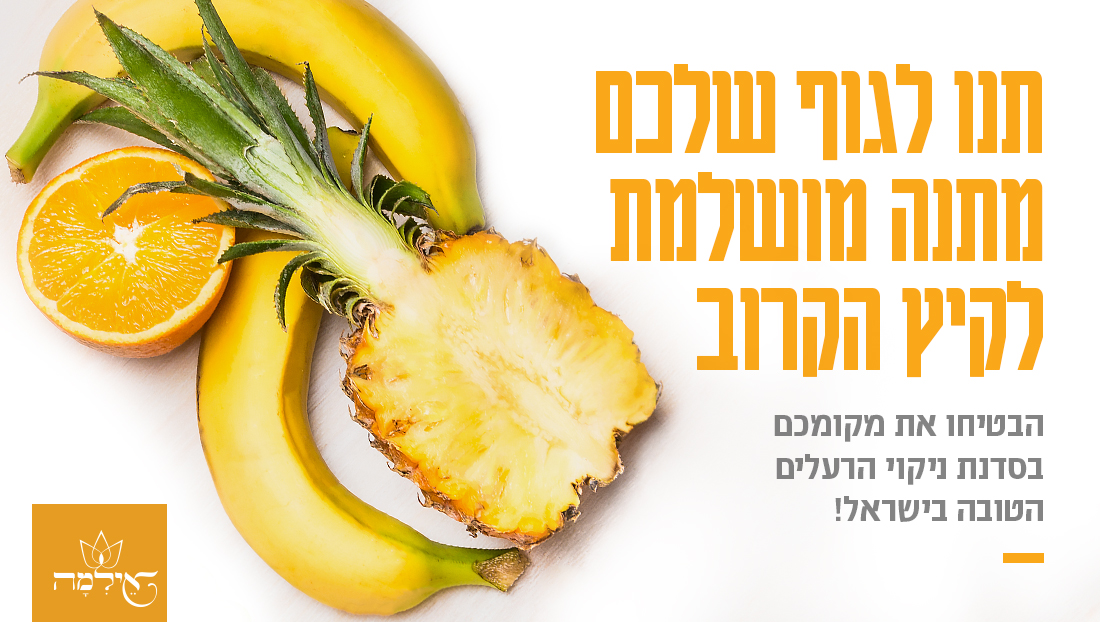 Pastebot-Dragged-Image-26-10-2021, 16:19:17-9.png