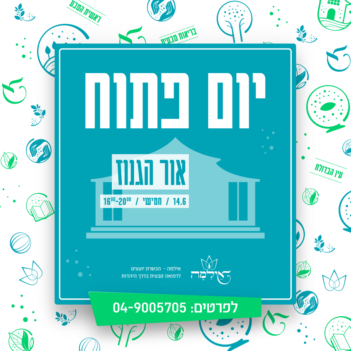 Pastebot-Dragged-Image-26-10-2021, 16:20:10-5.png