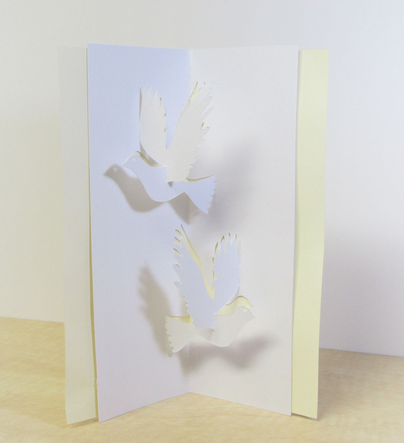 popup - שים שלום