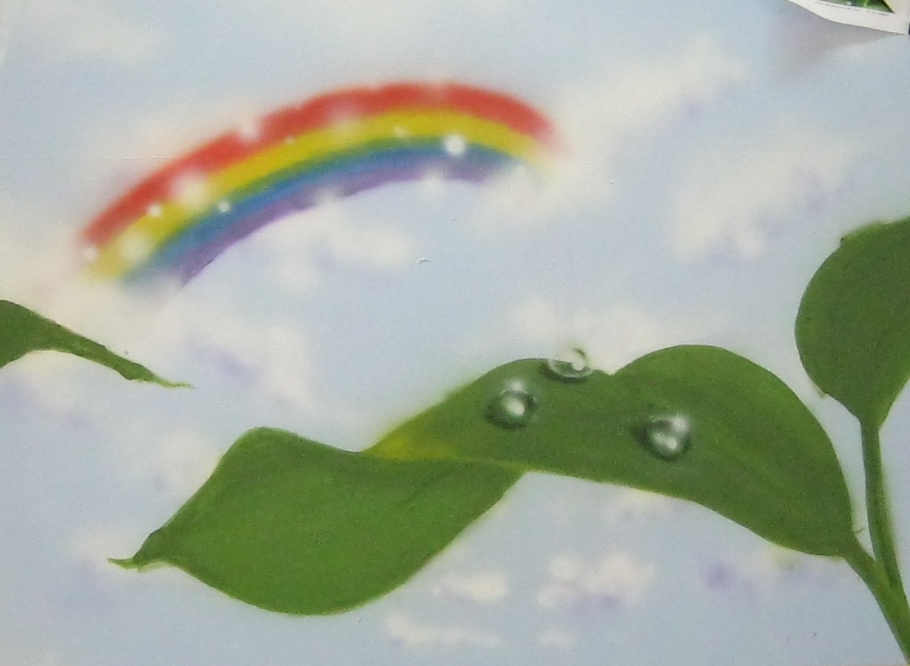 Rainbow and Drops