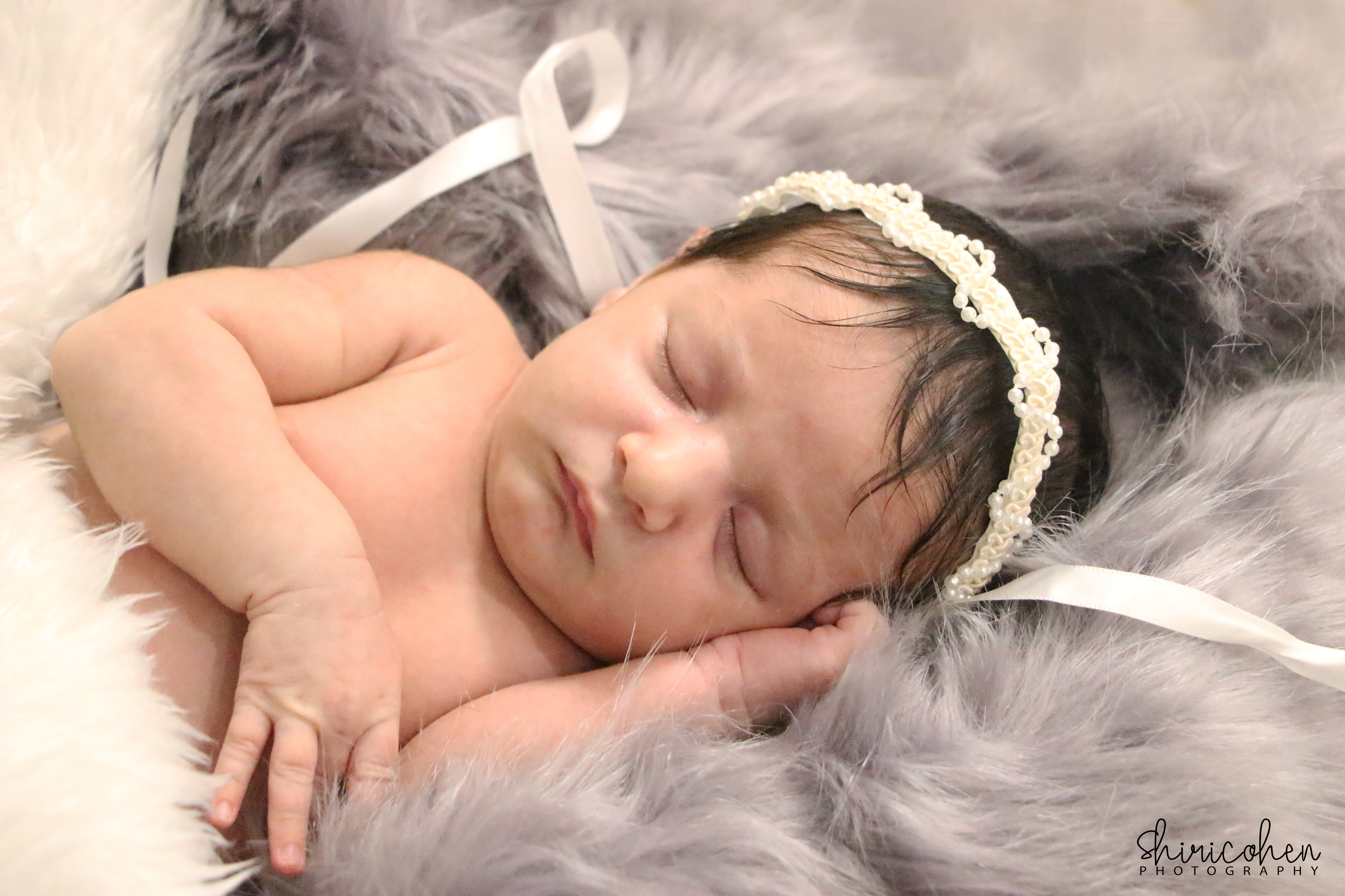 SHIRICOHEN0548403756