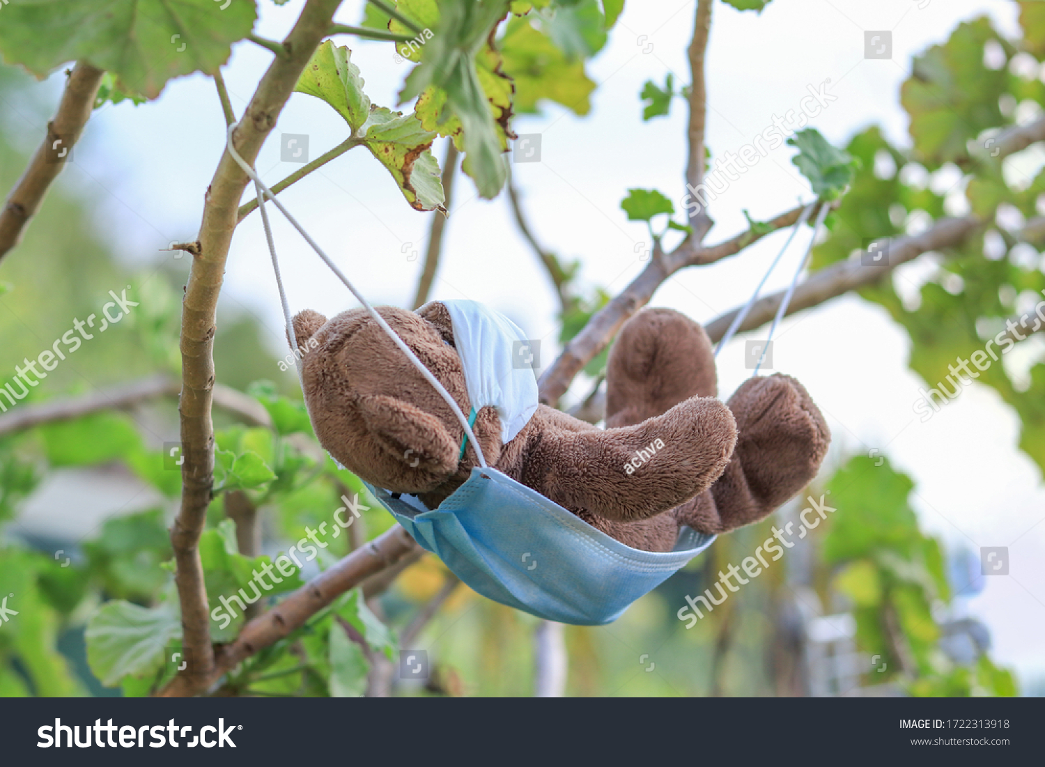 stock-photo-a-bear-dangling-in-nature-on-a-mask-1722313918.jpg