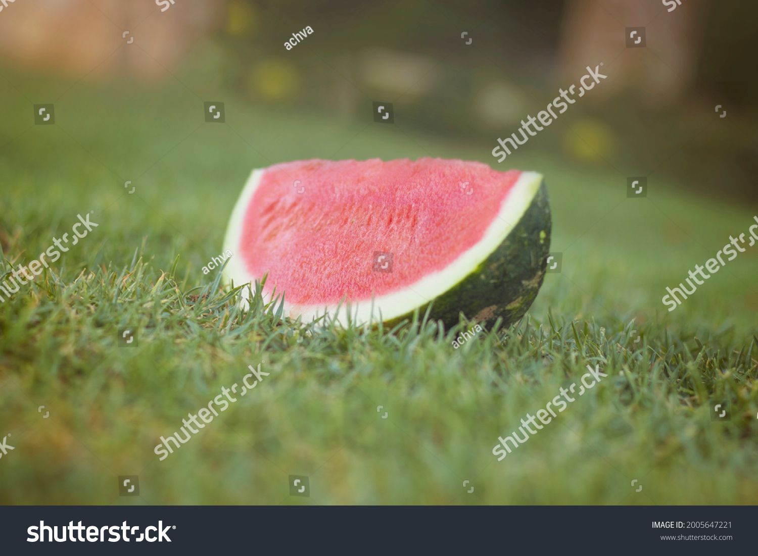 stock-photo-a-quarter-of-a-watermelon-rests-on-the-grass-2005647221.jpg