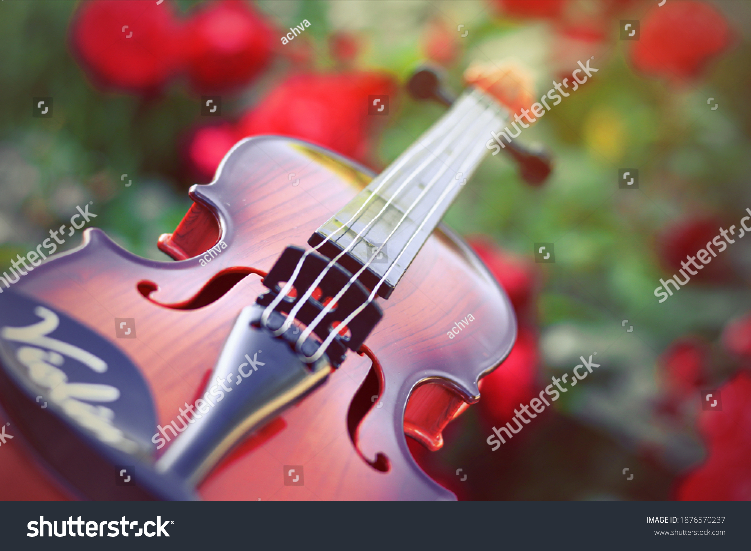 stock-photo-violin-on-only-a-bush-of-red-roses-1876570237.jpg