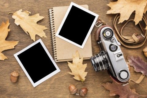 top-view-camera-with-photos-autumn-leaves (Phone).jpg