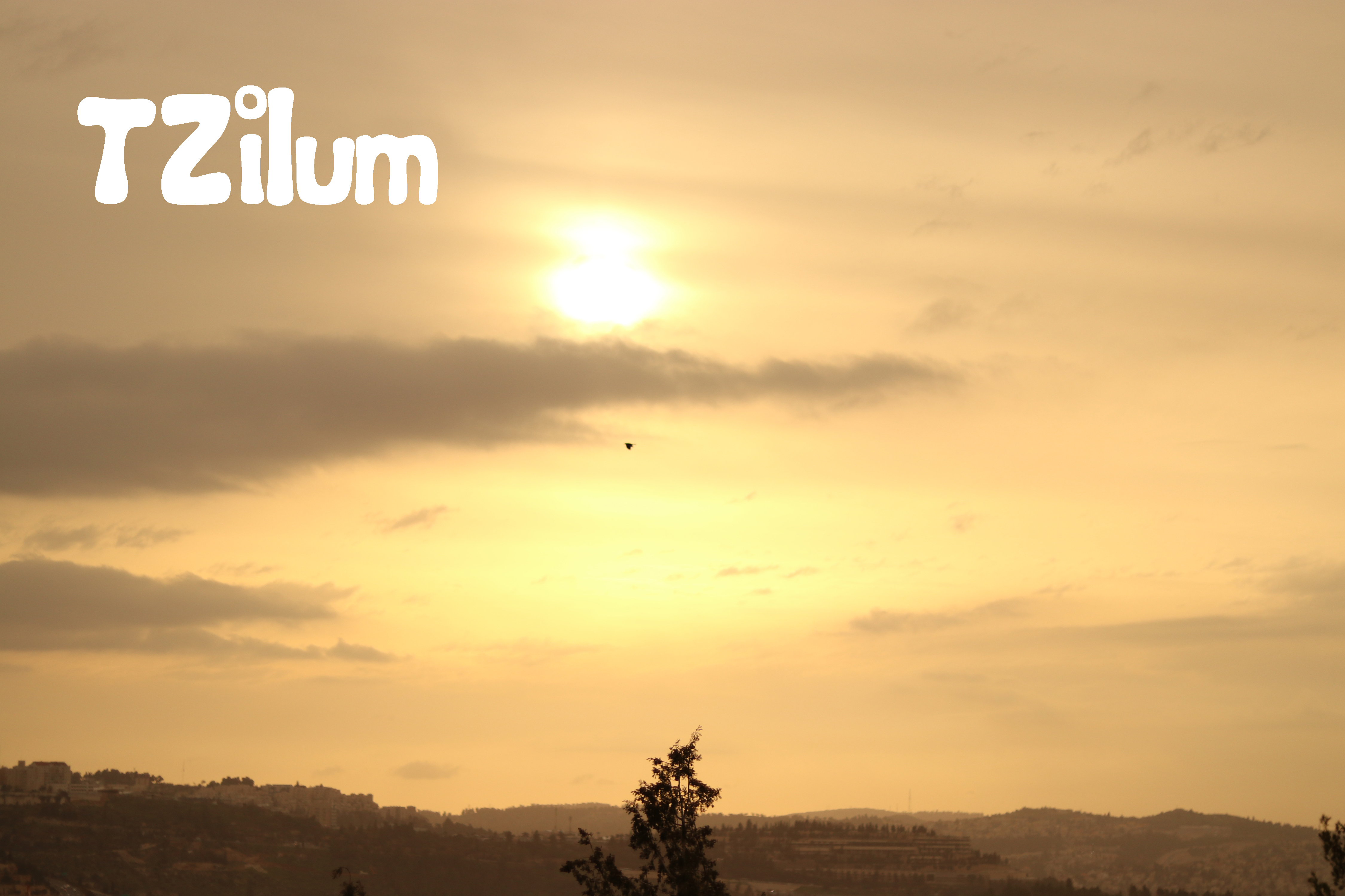 TZILUM
