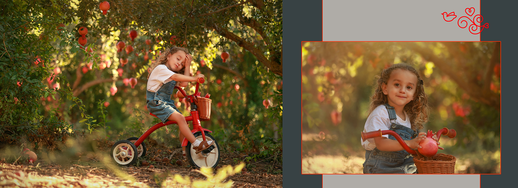 Untitled-11 copy 2מוקטן.jpg