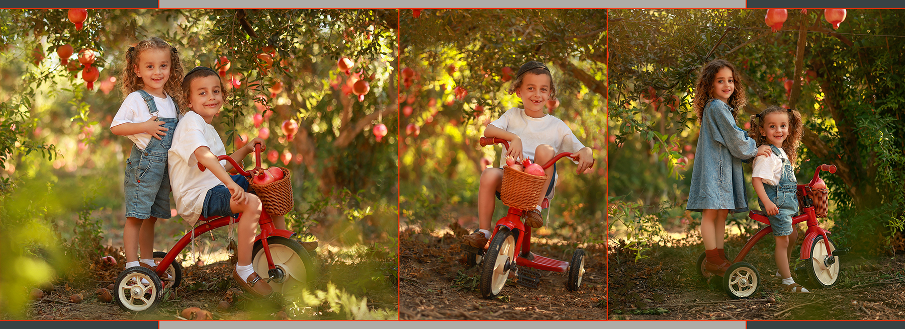 Untitled-12 copy 2מוקטן.jpg