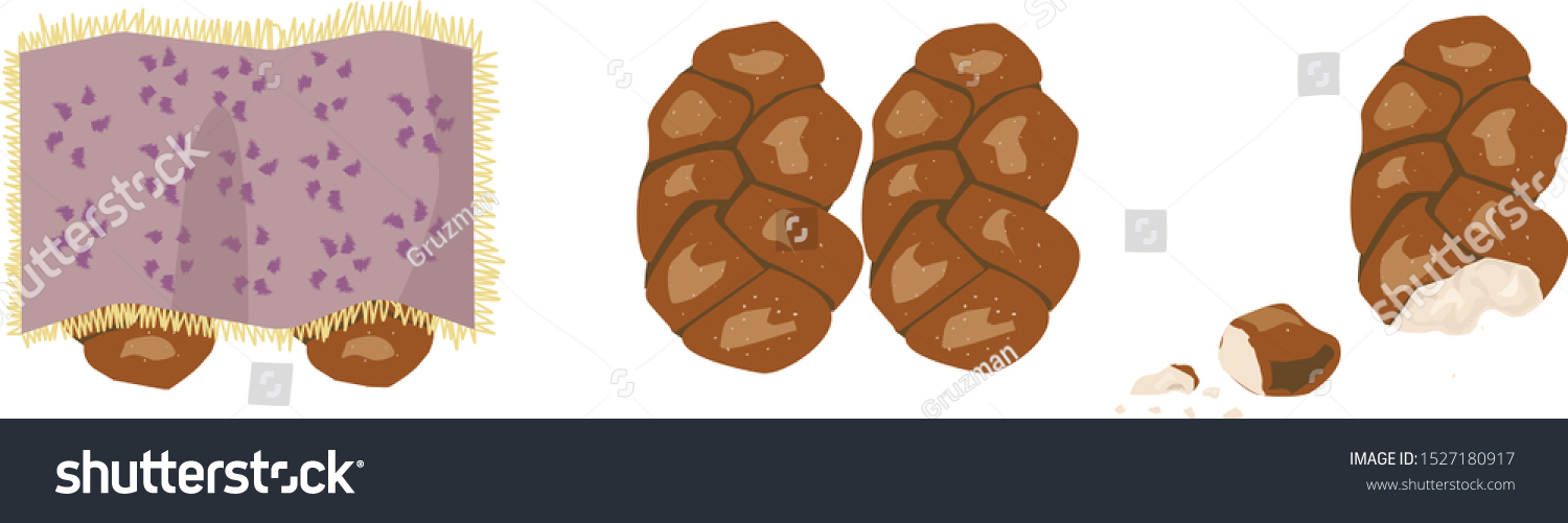 Vector-challah-challah-for-shabbat-