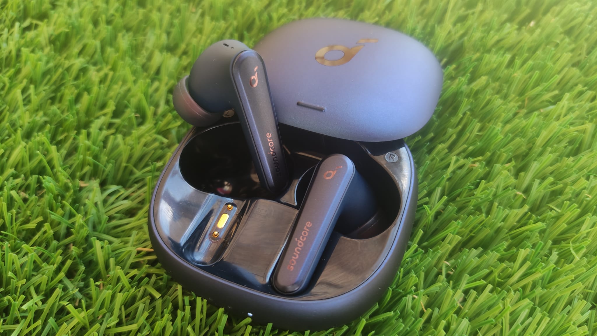 WhatsApp Image 2021-10-13 at 18.54.13.jpeg