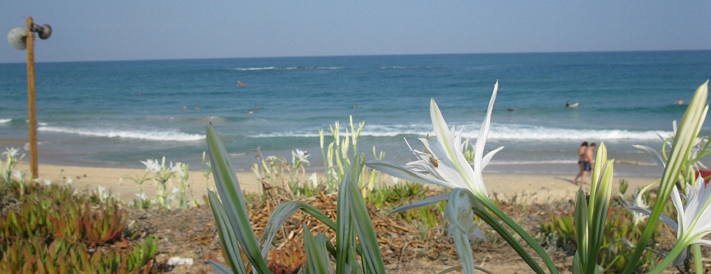 www.parks.org.il