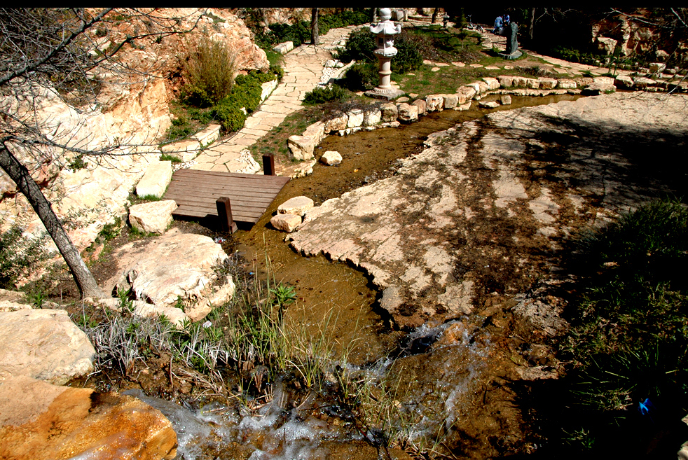 Rose_garden_jerusalem_efi_elian.jpg