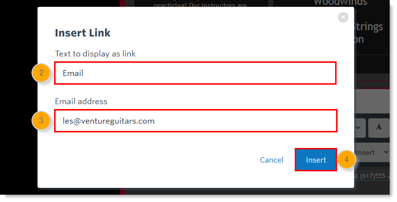 Link Text Field, Email Address Field, and Insert Button