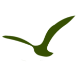 lichyot.org