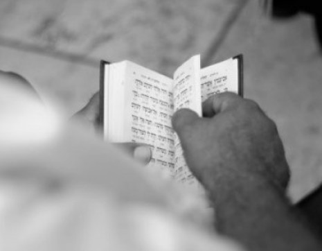 lp.tehillim-center.co.il