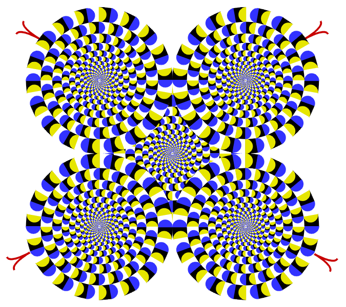 rotsnak3.gif