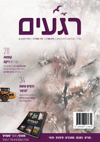 online.fliphtml5.com