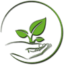 seedsfromzion.co.il