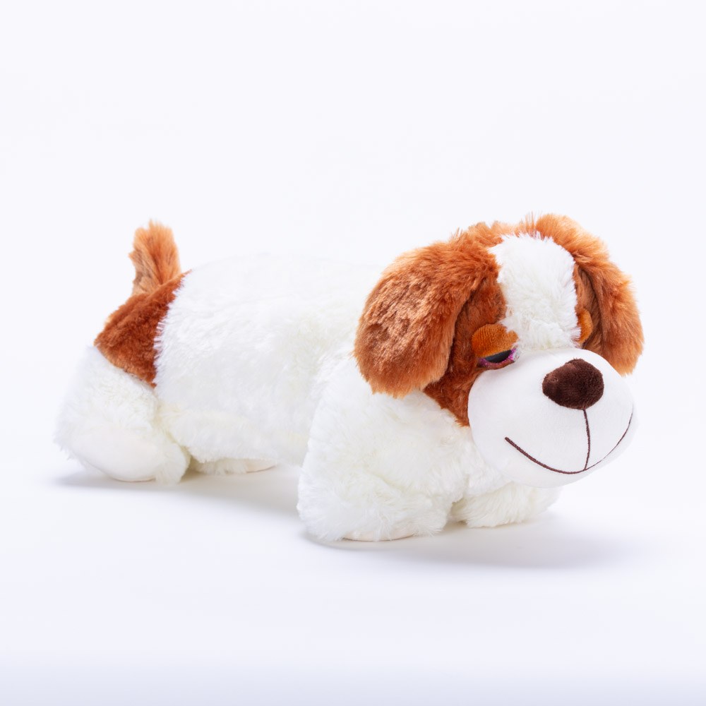 kipi.co.il