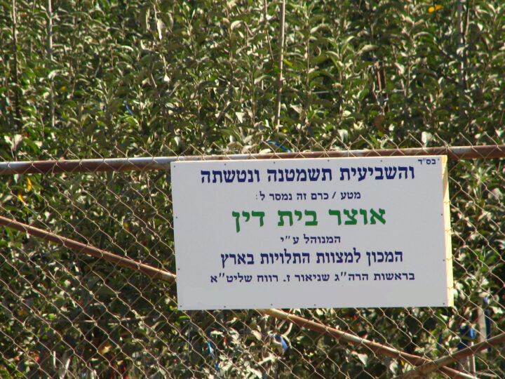shmita.hamachon.co.il