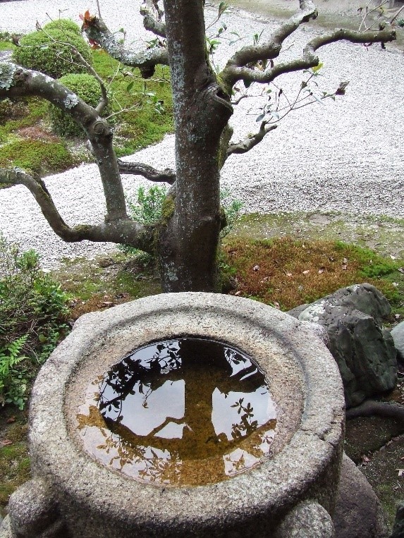 הייקו - שפירית | יפן חוויה אחרת