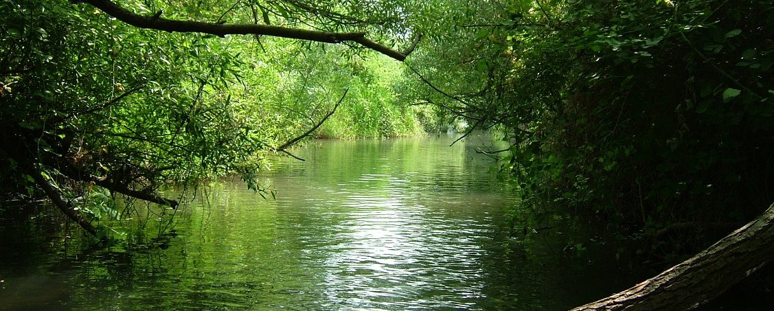 www.parks.org.il