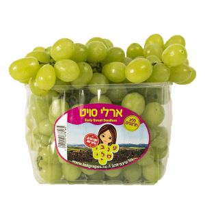 www.taligrapes.co.il