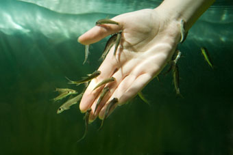 HandWithFish.jpg