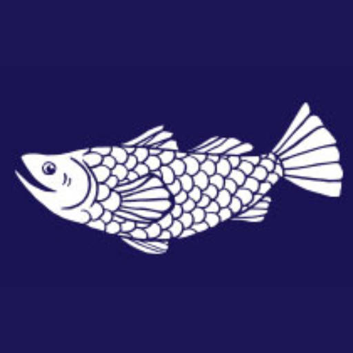 barramundi.co.il