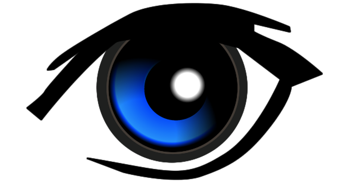 www.ispyconnect.com