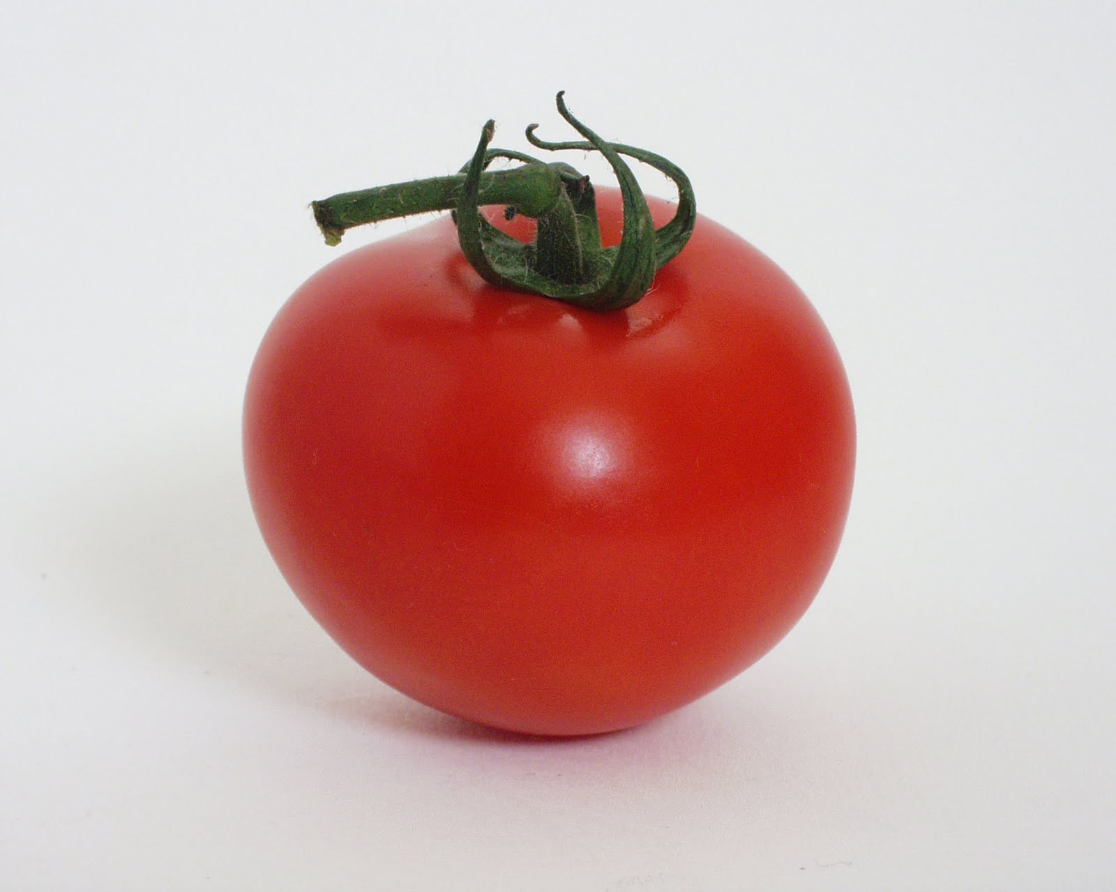 Tomato.jpg