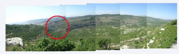 41368216.jpg