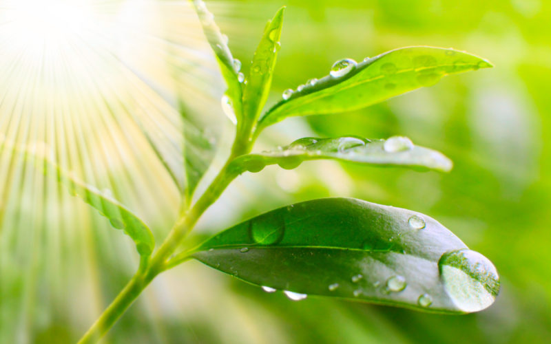 www.greentec-lab.com