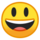 emoji_u1f603.png