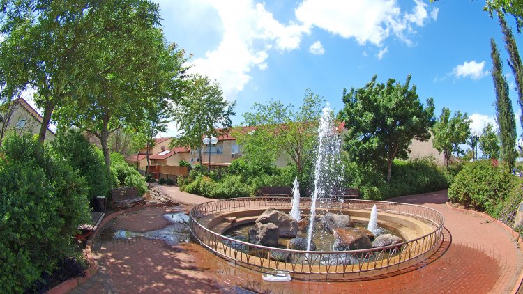 קצרין (שאטרסטוק) 