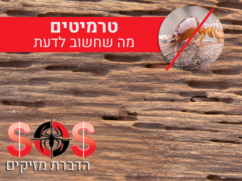 www.hadbara.org.il