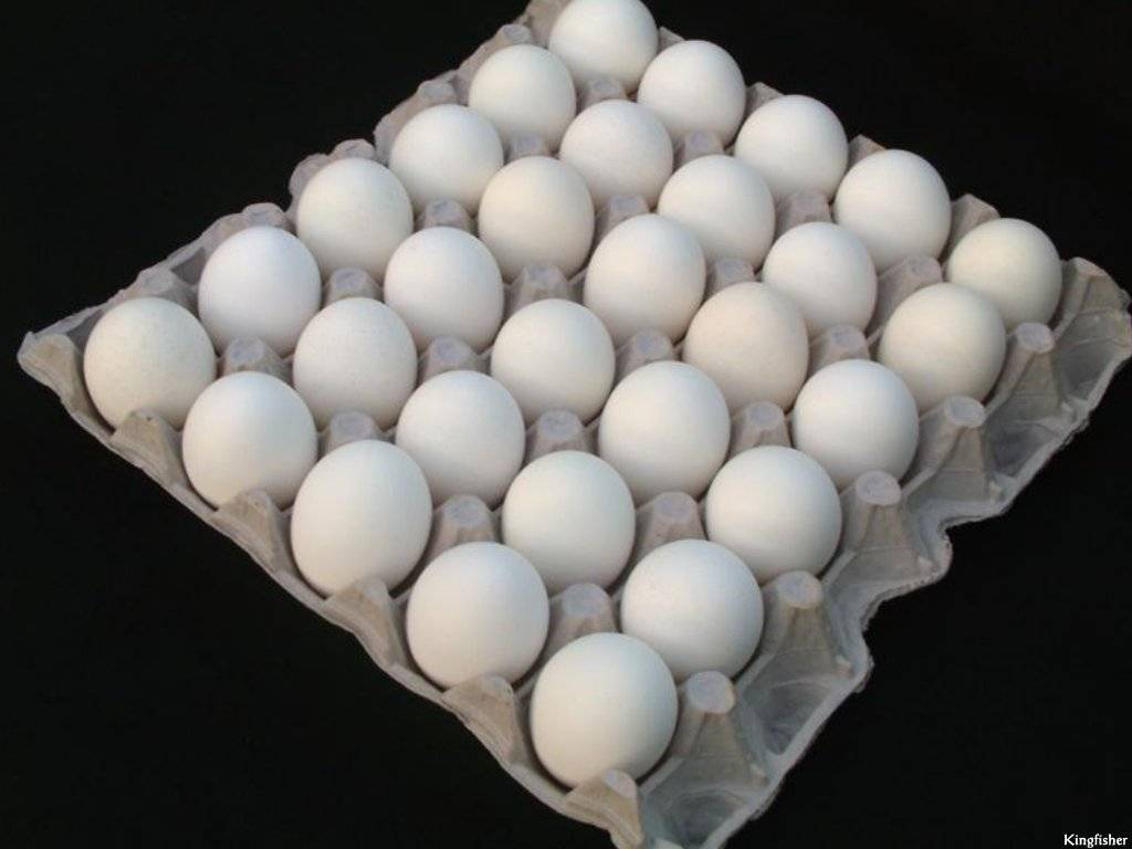 Eggs.jpg